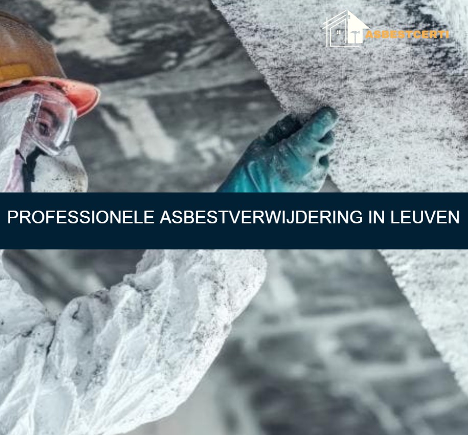 Professionele asbestverwijdering in Leuven